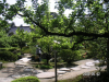 s_pict0140_thumb.png